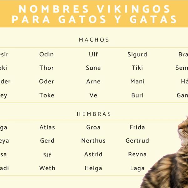 Nombres vikingos para gatos 1