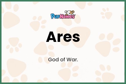 Significado del nombre ares para perro 1