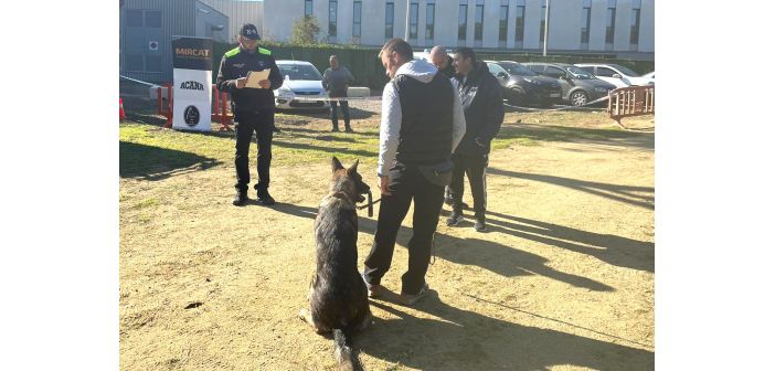 Actualidad acana apoyo constante a las unidades caninas de policias locales de espana 1