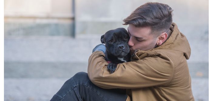Actualidad cinco recomendaciones que dar para una adopcion responsable 1