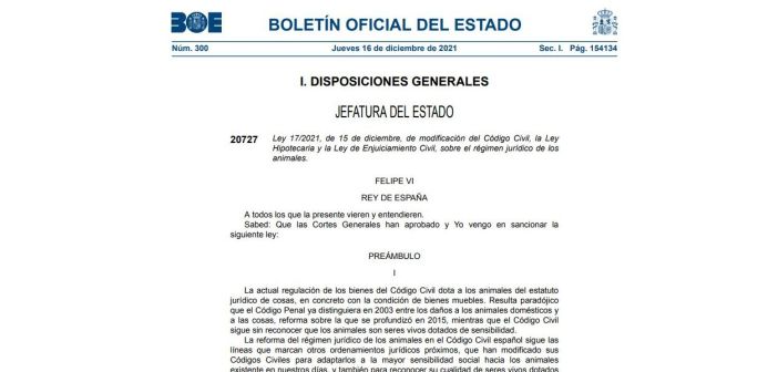 Actualidad legislacion consulta la nueva ley de modificacion del codigo civil 1