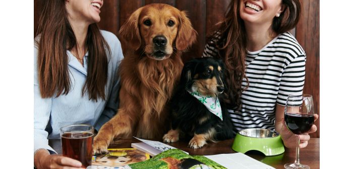 Actualidad el 42 de los espanoles asegura que sus mascotas les demuestran mas afecto que sus parejas 1