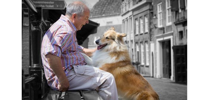 Actualidad el vinculo humano animal es beneficioso para los pacientes con alzheimer y demencia 1