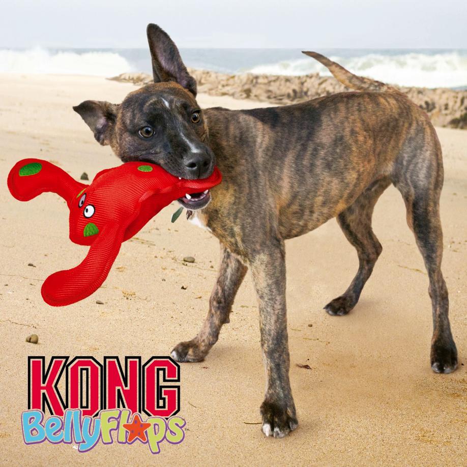 Novedades kong belly flops 1