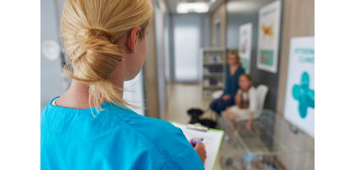 Actualidad la esterilizacion animal una practica beneficiosa 1