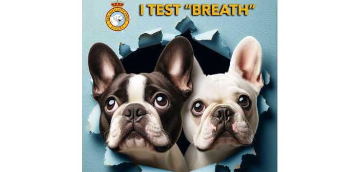 Actualidad test breath para evaluar la salud respiratoria de algunas razas 1