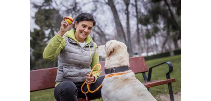 Articulos salud y bienestar tres claves para detectar si perros y gatos sufren diabetes 1